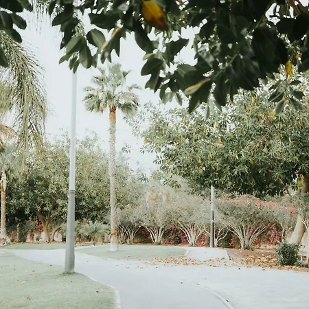Nina Playa de las Americas (Tenerife)