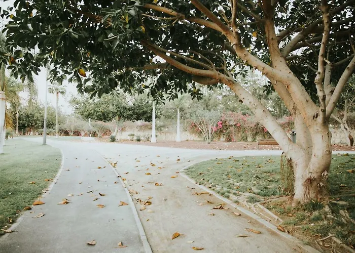 Apartamento Nina Playa de las Americas (Tenerife)