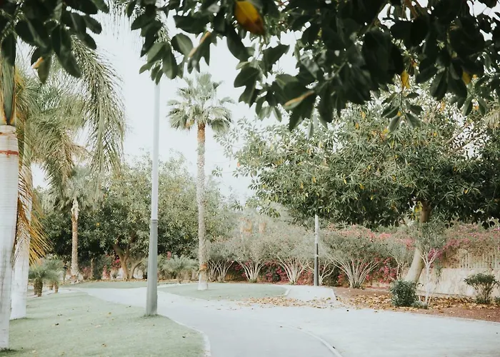 Nina Playa de las Americas (Tenerife)
